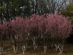-太二酸菜鱼(天鹅湖万达店)