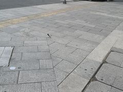 -成都瑞城名人酒店