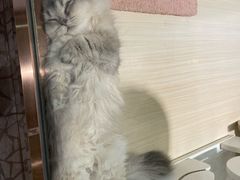 -上海尚嘉中心