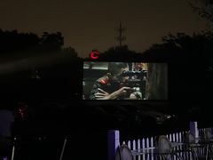 -枫花园汽车电影院(朝阳公园店)