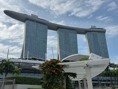 -圣淘沙天际线斜坡滑车