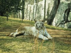 -北京野生动物园