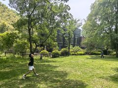 -东明山森林公园