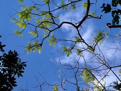 -七仙岭温泉国家森林公园