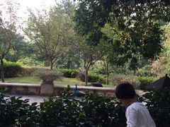 iphone_upload_pic-杭州千岛湖开元度假村