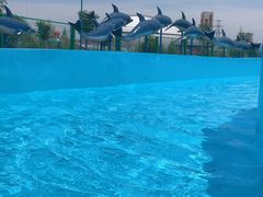 -西安华夏文旅水世界