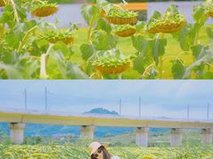 -光明小镇欢乐田园