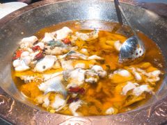 -雲蜀龙阁·金牌水煮鱼(方庄店)