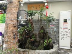 -丽江庭院之丽江往事(安定门店)