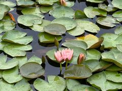 -白鹭湾湿地公园