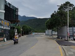-杨梅坑