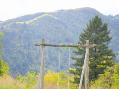 -阿布氇孜藏餐厅(九寨沟店)