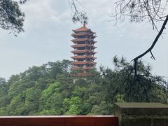 -缙云山景区