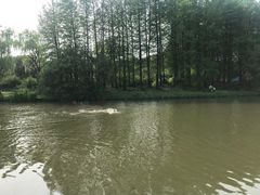 -新江湾城公园