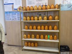 -合肥美奥口腔·种植矫正中心(政务院)
