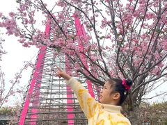 -盈香心动乐园