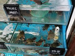 -北戴河庆山饭店·海鲜砂锅粥(北戴河黑石路店)