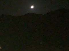 -武陵山森林公园