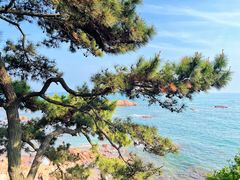 -八大关景区