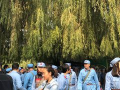 -白洋淀景区