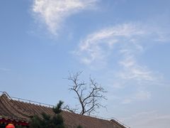 -王家大院