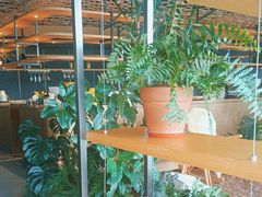 -云里小坐·海泉湾·团建·宴席·下午茶(金堂海泉湾店)