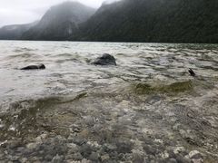 -柯尼希湖