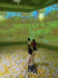 -宝燕乐园(闵行旗舰店)