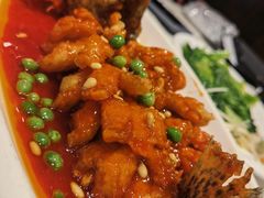 -新侨小馆(东直门北小街店)