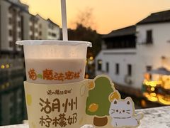 -猫的魔法密林(衣裳街店)