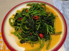 川香红薯尖-红辣椒·川菜·火锅(朝外店)