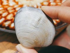 大卜卜贝-水哥卜卜贝(东晓·胜汇里店)