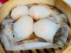 -憶廟街 X 沙角邨(太古城店)