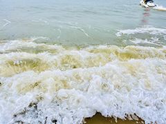 -日照海滨国家森林公园