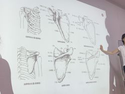 -亚太瑜伽普拉提学院
