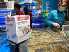 大连高盐大生蚝-盒马鲜生(双清路店)
