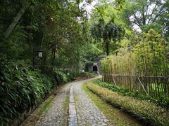 -镇江市南山风景名胜区竹林景区