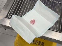 -艾吉宠物医院·疑难杂症转诊中心·猫友好(碧江路院)