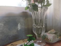 -Jo's Garden