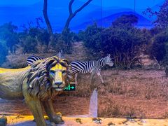 -百威中国啤酒博物馆