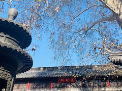 -灵谷景区