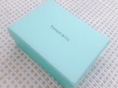 -Tiffany & Co.蒂芙尼
(武汉武商MALL店)