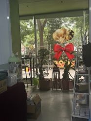 -北京豆豆博士专业祛痘