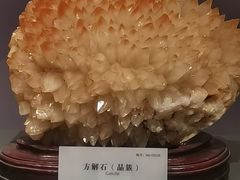 -湖南省地质博物馆