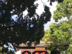 -汇龙潭