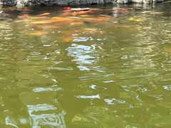 -团结湖公园
