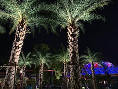 -上海海昌海洋公园