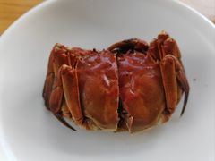 -品鲜村农家菜·阳澄湖大闸蟹(总店)