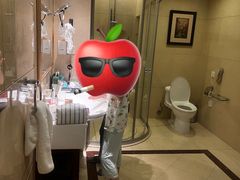 -沈阳于洪碧桂园凤凰酒店