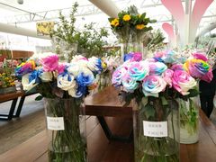 -荷兰花海